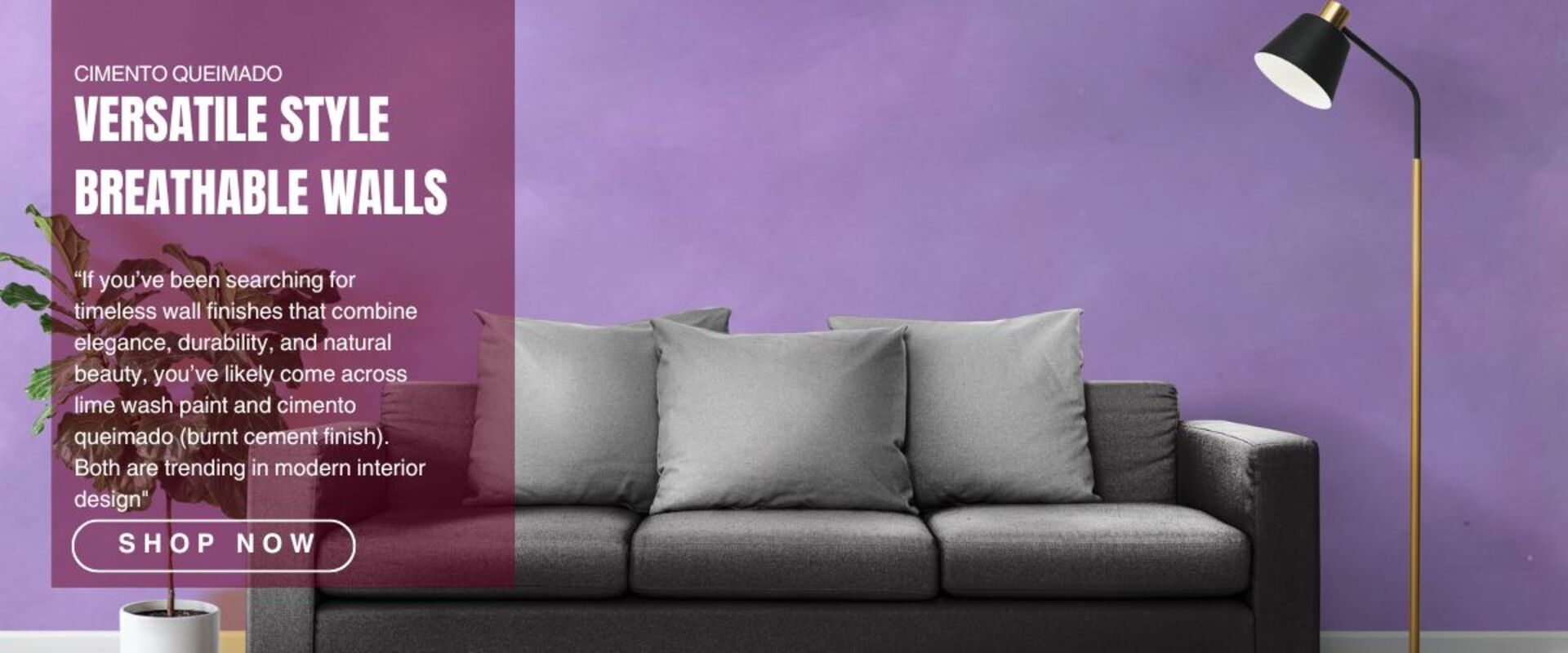 Limewash wall texture finish by Texture Bazaar